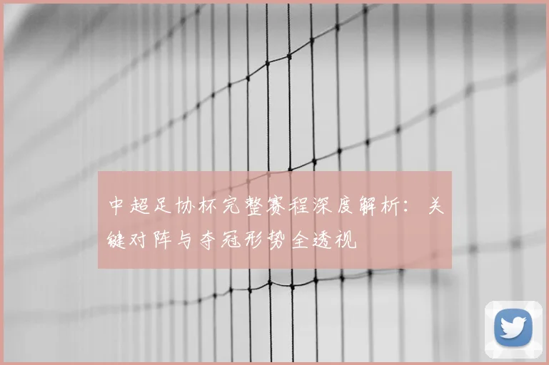 中超足协杯完整赛程深度解析:关键对阵与夺冠形势全透视
